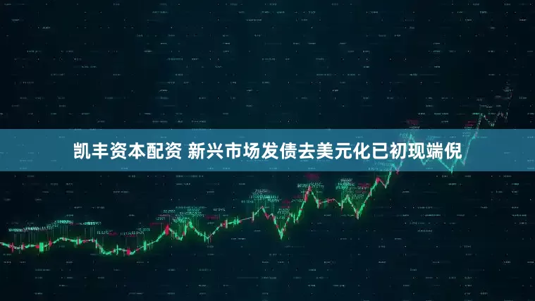 凯丰资本配资 新兴市场发债去美元化已初现端倪
