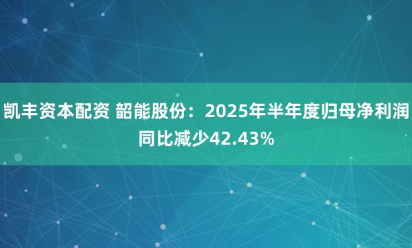 凯丰资本配资 韶能股份：2025年半年度归母净利润同比减少42.43%
